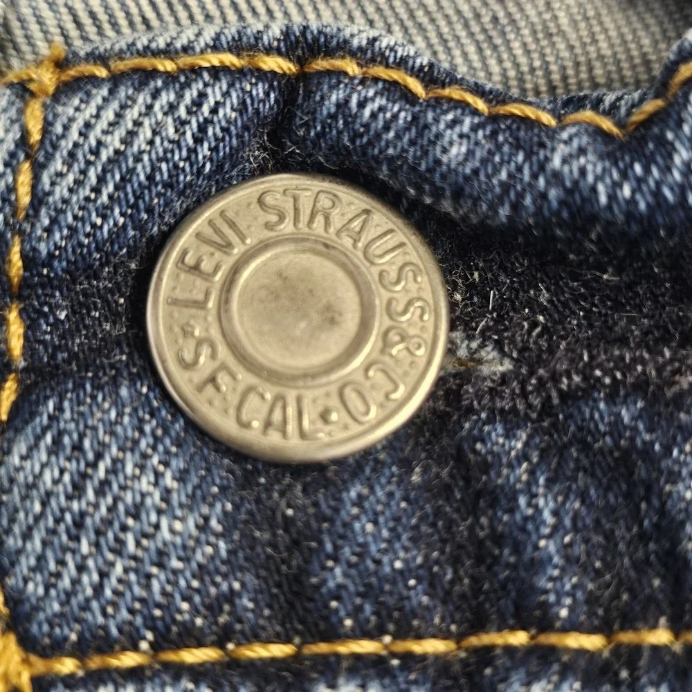Levis levi strauss